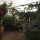 Mariposario de Nijar: un jardín lleno de vida
